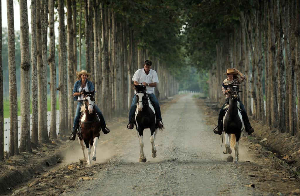 Hacienda La Danesa Villa La Union  ภายนอก รูปภาพ